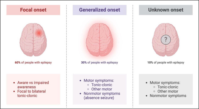 A two-panel diagram contrasting focal-onset and generalized-onset epilepsy, listing the proportion of people affected and grouping seizures into motor symptoms such as tonic-clonic and other motor types and non-motor symptoms.